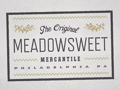 Meadowsweet #1 flowers philadelphia type vintage