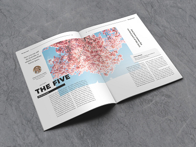 Lifestyle Indesign Template architecture brochure creative design designs digital editorial fashion indesign luuqas magazine multipurpose page pdf print sale template