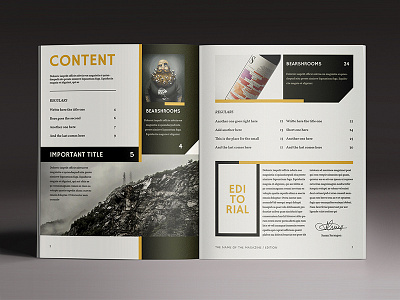 Multipurpose Magazine 4 design digital editorial indesign luuqas magazine multipurpose pdf print sale template