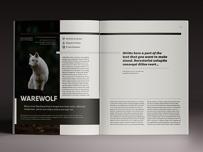 Multipurpose Magazine 7 brochure design digital indesign magazine minimal multipurpose pdf porfolio print sale template