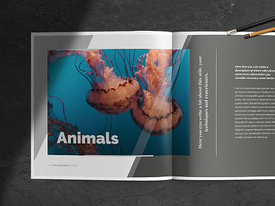 Multipurpose Porfolio Template architecture brochure digital editorial fashion indesign indesign template magazine photography porfolio print template design