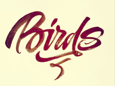 Birds calligraphy handmade handwriting lettering letters logo