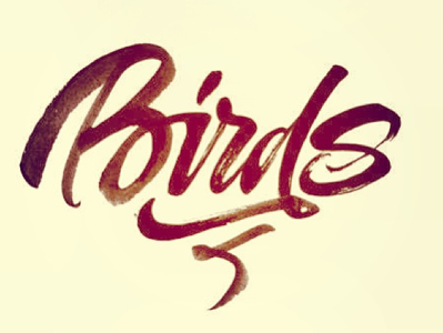 Birds