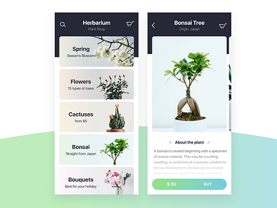 Plant Shop — App Concept bouqet buy cards e commerce flowers gradient green ios iphone plant shop x