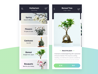 Plant Shop — App Concept