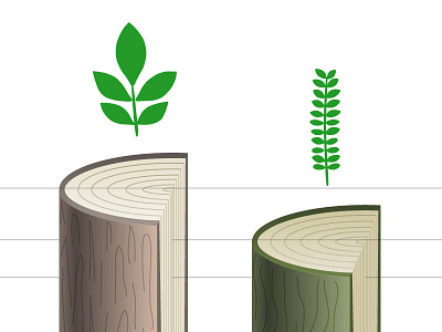 Appleton Trees Infographic