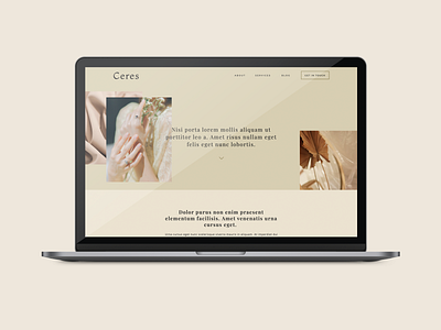 Ceres showit showit template web design