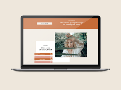 Aquarius. showit showit template web design