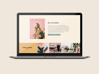 Hydra showit showit template web design website template