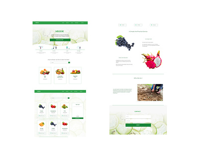 Veggie branding clean colors design minimal ui urban ux vector web