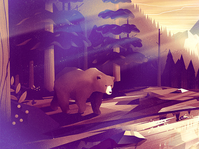 Forest & Bear bear character editorial forest graphic illustration landscape light material noise