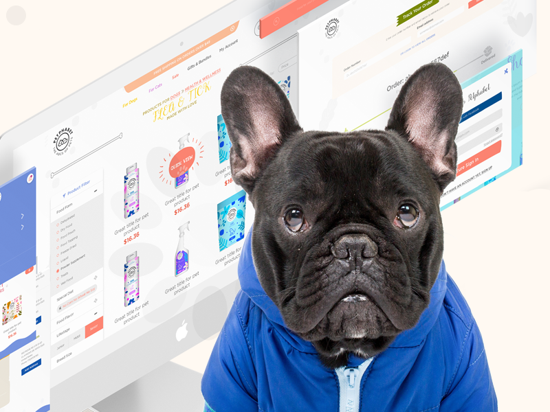 Petphabet - Redesign Case Study cat dog pets responsive web redesign landing case study
