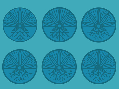 Proponix alternate logo mark explorations blue brand branding cannabis grow growing identity logo logo mark marijuana weed