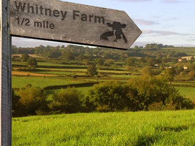 Signpost for Local Farm