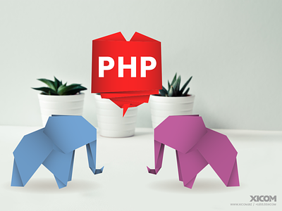 PHP php php developer php website