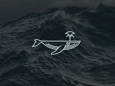 Dribbble Whale animal iteration sea whale