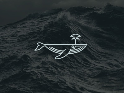 Dribbble Whale