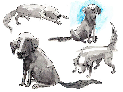 Dog sketches watercolour and liner character childrens childrens books freehand hand drawing illustration sketch