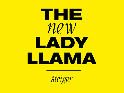 Visual identity the new lady llama album artwork bold branding graphic design jazz logo music visual identity yellow