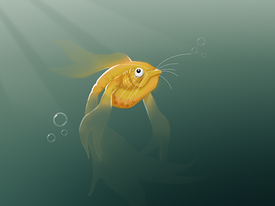 Fish Illustration fish illustration