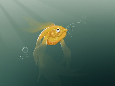 Fish Illustration