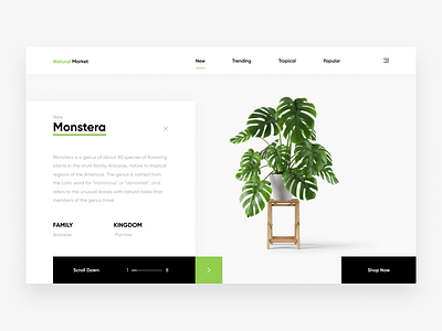 Natural Market Web Design (Concept)