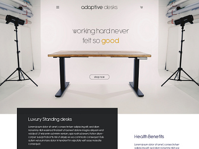 Adaptive Desks Website brand ecommerce flat landing page ui ui ux web webdesign website