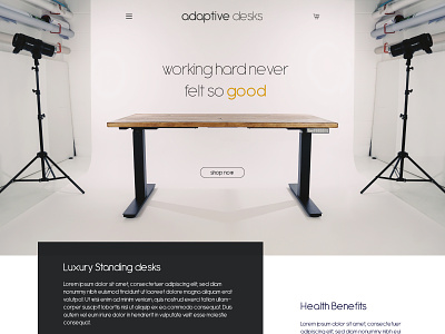 Adaptive Desks Website
