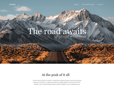 Travel Landing Page branding flat typogaphy ui ux web website