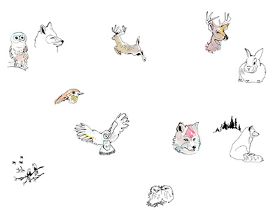 Woodland Animals