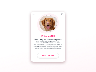 Puppertin 011 clean dailyui flash message illustration ios mobile puppy tinder ui ux