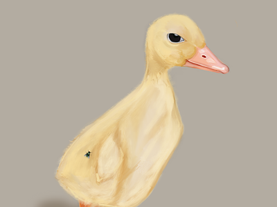Baby duck cute design drawing duck duckie illustraion procreate
