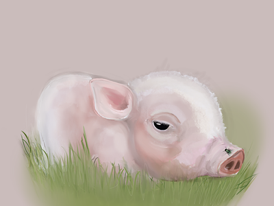 Piggy cute drawing fly illustration pig procreate