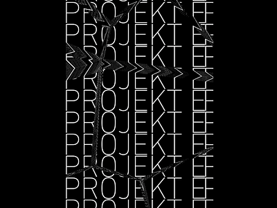 Projekt E adobe aftereffects blackandwhite design displacement electric glitch graphic design green rally teaser type