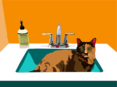 Sink Cat