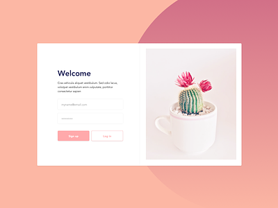 Daily UI #1 dailyui sign up