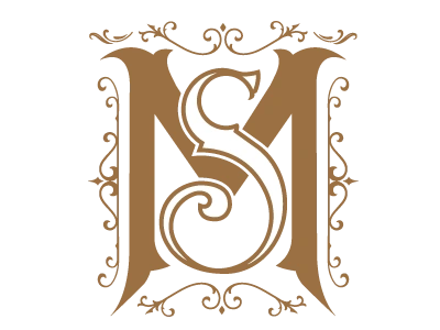 MS Logo design type