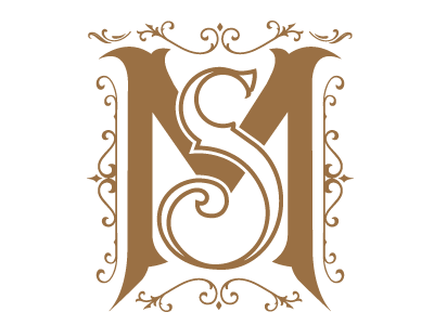 MS Logo design type