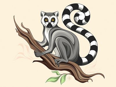 Lemur animal character graphic illustration lemur tshirtdesign vector