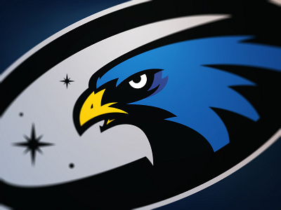 Hawks hawk logo