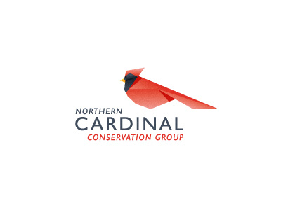 Northern Cardinal Concept 2 animal bird cardinal logo mark origami