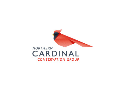 Northern Cardinal Concept 2
