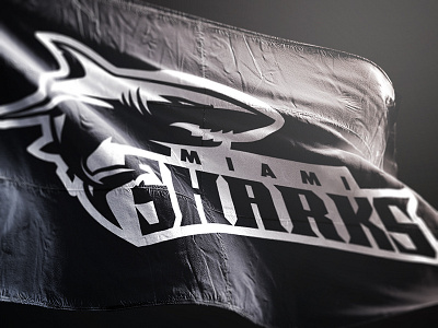 Miami Sharks Flag Football II