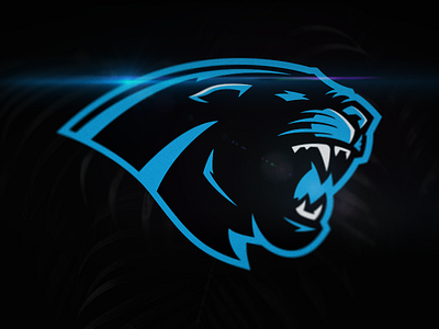 Carolina Panthers Rebrand Concept branding concept football logo rebrand sports