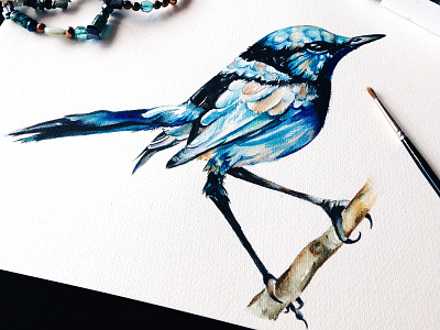 Fairy Wren art bird drawing graphic illustration painting watercolor watercolour