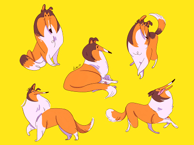 Collie character design dog illustration doggy dogs illustration procreate