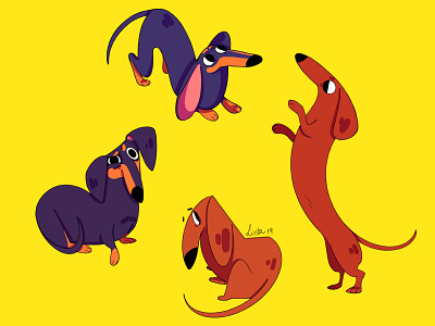 Dachshund characterdesign dog dog illustration doggy illustraion procreate