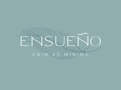 Ensueño — Branding branding graphic design logo