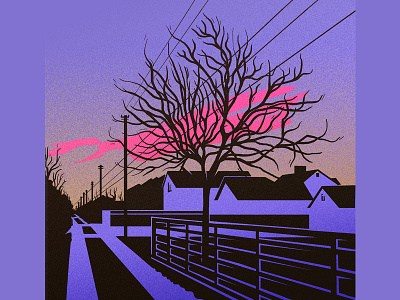 sunset colors graphicdesign houses illustration lines street sunsent tree vector