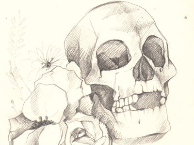 Dribbble204 anatomy apostol creepy elena greta flowers iscariotteh poppy rose skull study